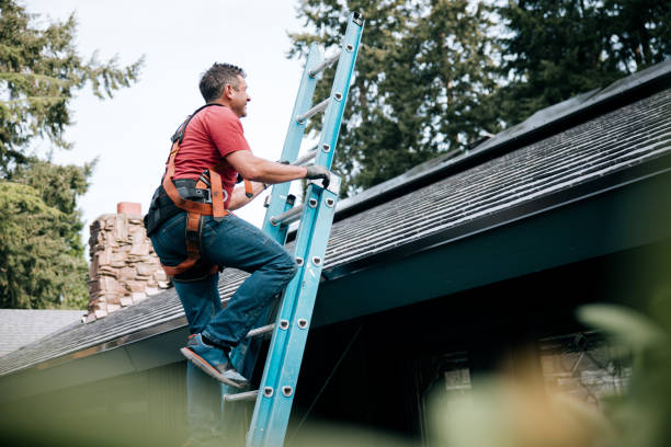 Best Roof Restoration  in USA